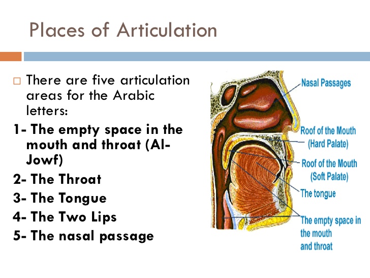 manner & place of articulation chart examples and definition 