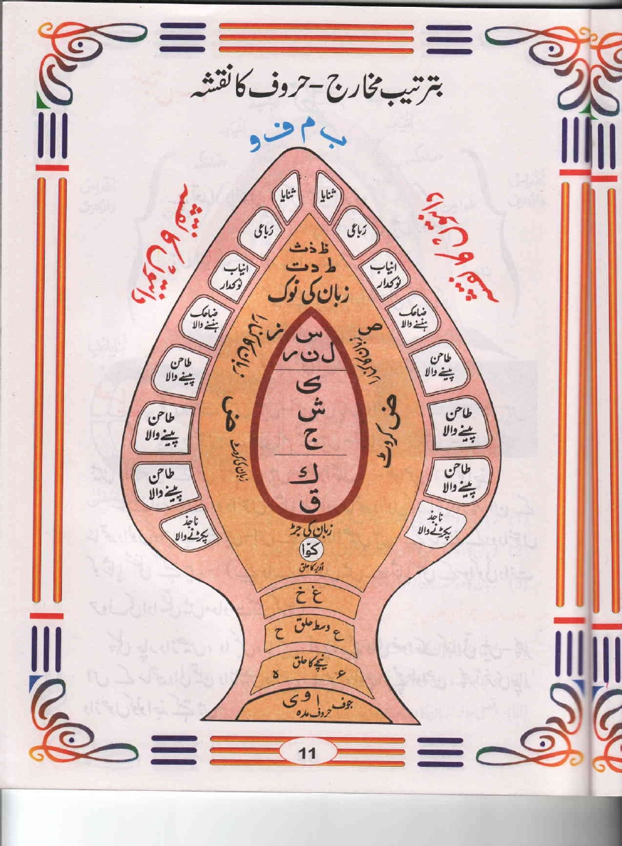 chart of teeth in tajweed