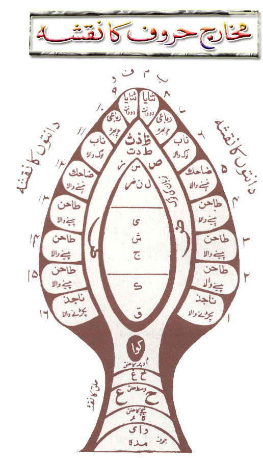 Makharij Chart