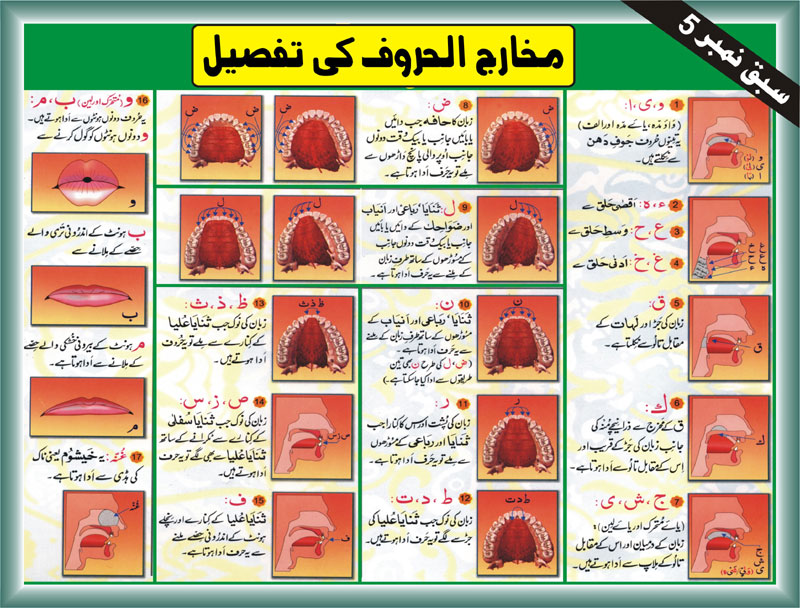 Tajweed Rules In Urdu-makhraj of all arabic letters pdf image online