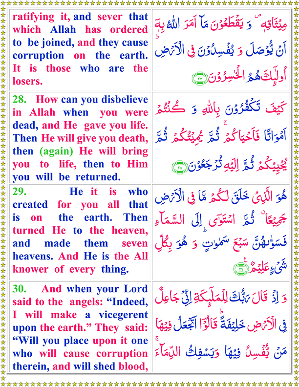 Surah Al Baqarah Ayat No 28 To 30 reading Arabic Text in English Translation