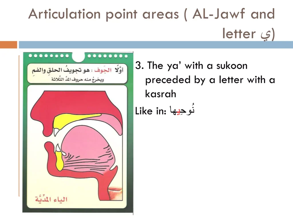 Learn Articulation points area of Arabic letters in English.