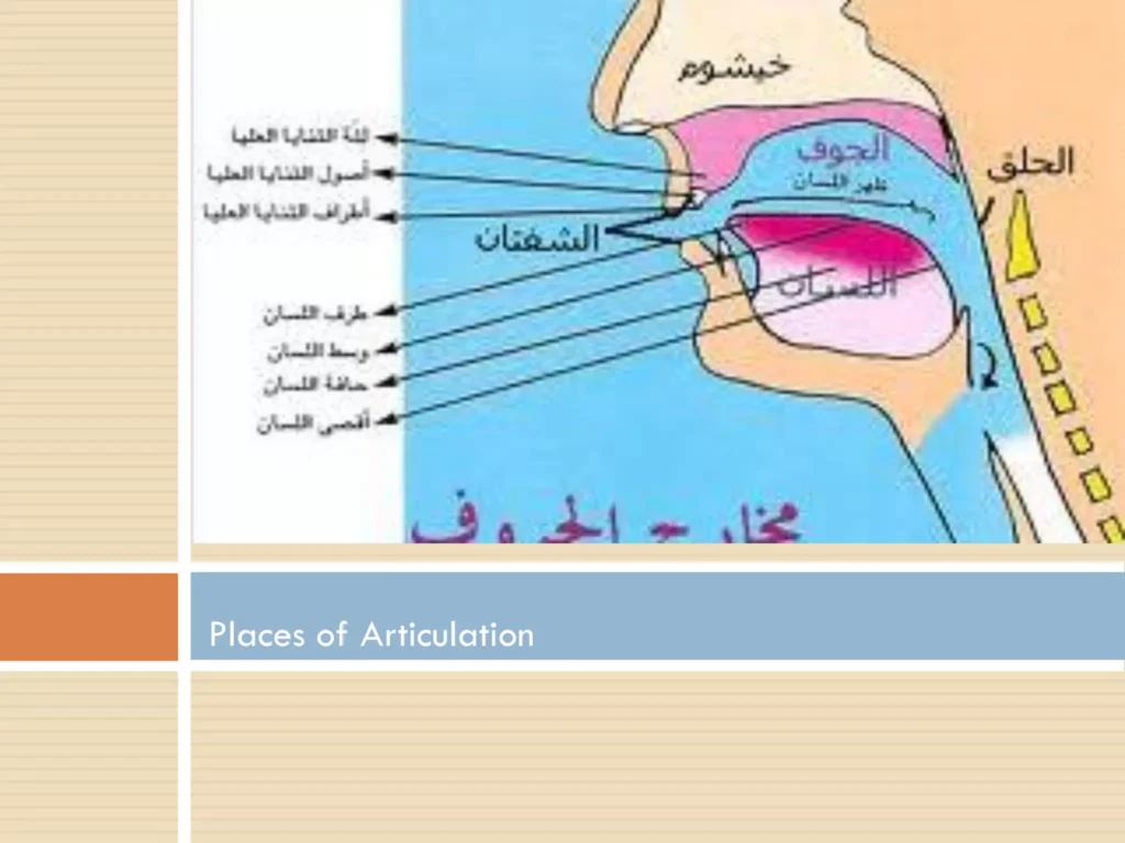 Learn places of Articulation points of Arabic Letters