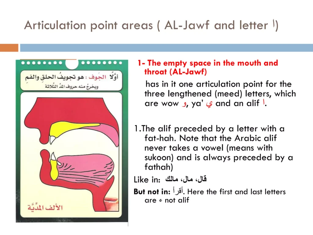 Learn places of Articulation points of Alif, Wow, and Yaa in English