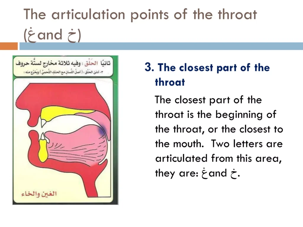 The Articulation Points of the Throat Letters Ghayn and Khā in Egnlish