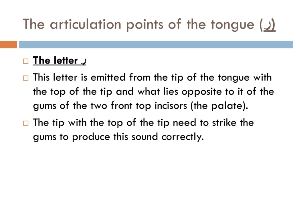 The Articulation Points of the Tongue The Letter Raa in Arabic